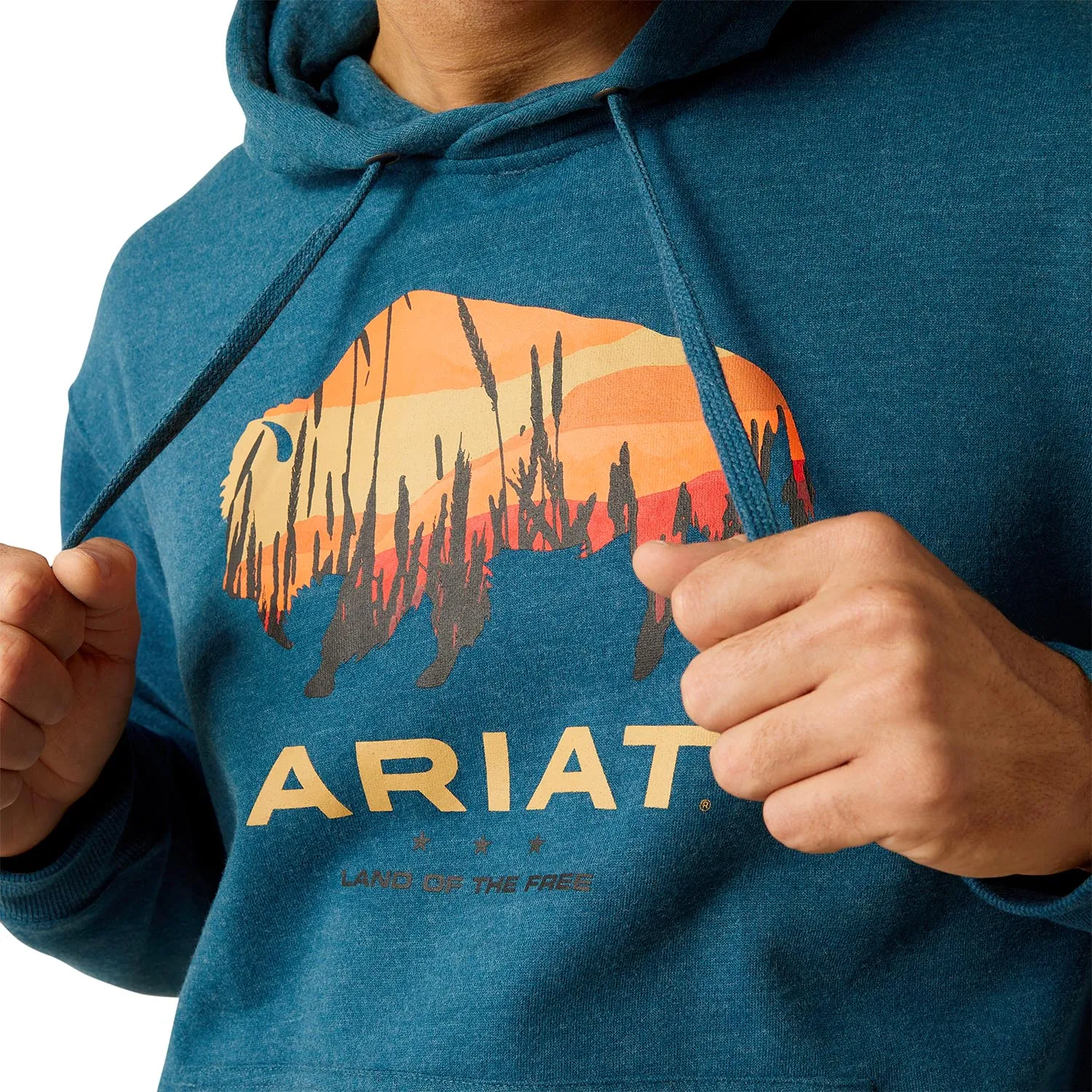 Ariat Men's Bison Plains Hoodie