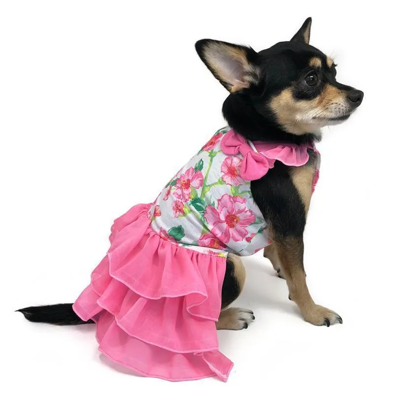 Floral Flounce Dog Dress