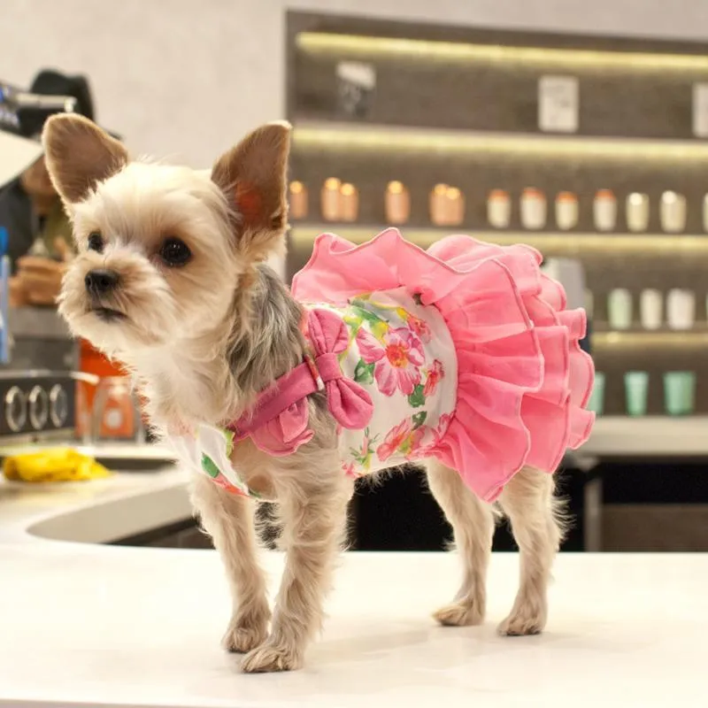 Floral Flounce Dog Dress