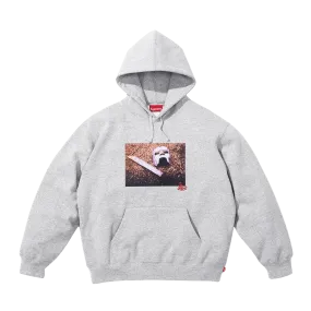 Supreme x MF DOOM Hooded Sweatshirt 'Grey'